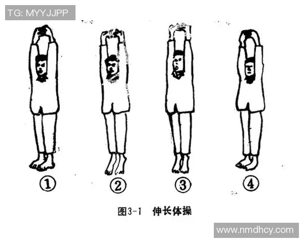 奥运会体操比赛难度动作解析与训练方法探讨及提升技巧研究